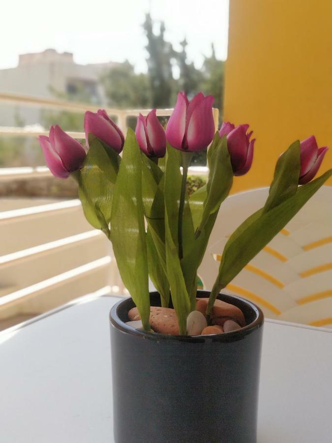 לה קאסס ד'אלקנאר Apartamento Pescadors מראה חיצוני תמונה